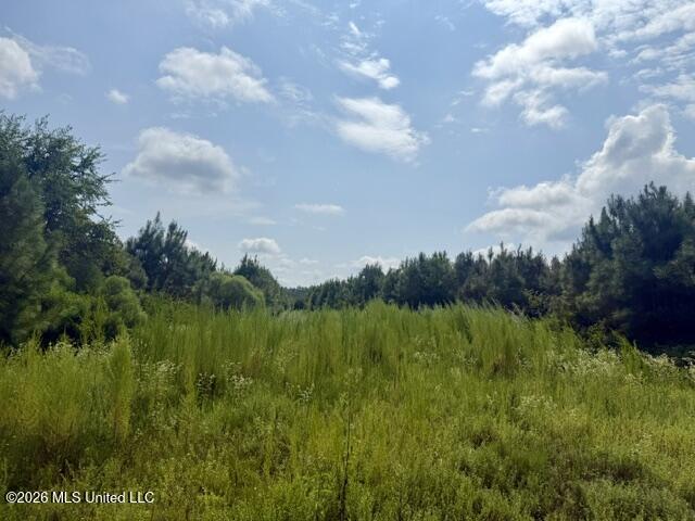 Ten Mile Creek Road
