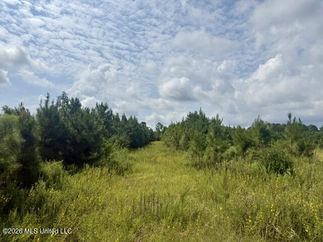 Ten Mile Creek Road