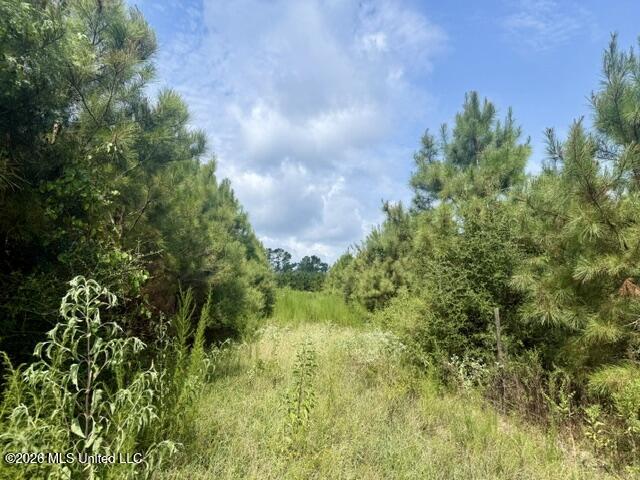 Ten Mile Creek Road