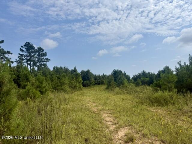 Ten Mile Creek Road