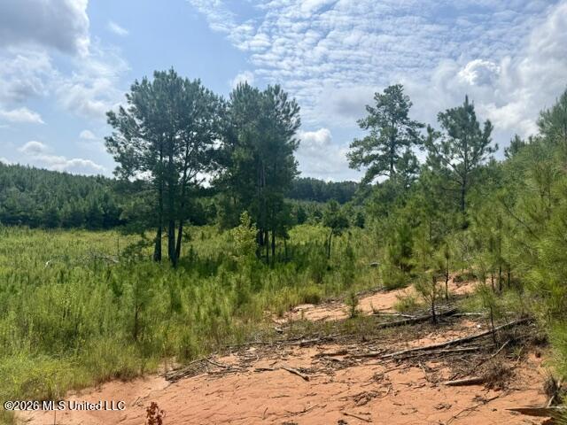 Ten Mile Creek Road