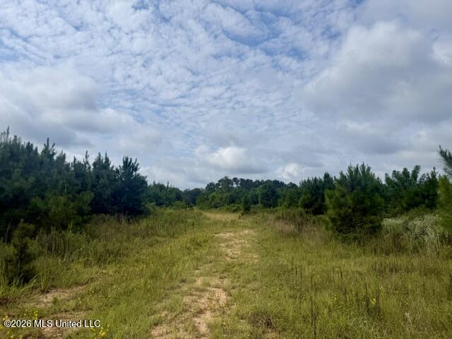 Ten Mile Creek Road