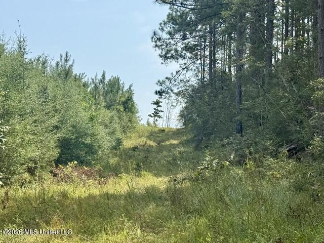 Ten Mile Creek Road