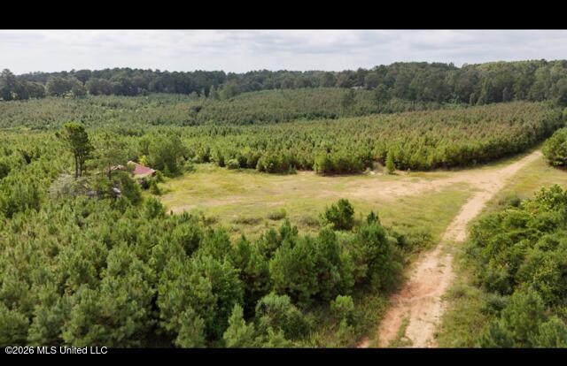 Ten Mile Creek Road