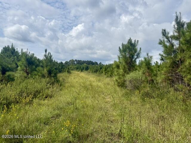 Ten Mile Creek Road