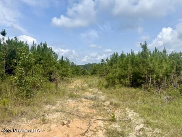 Ten Mile Creek Road