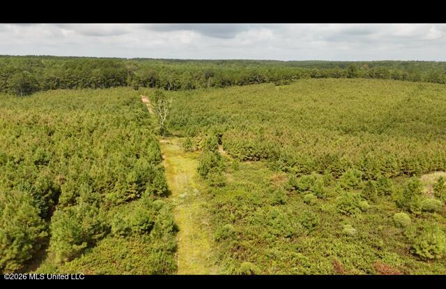 Ten Mile Creek Road