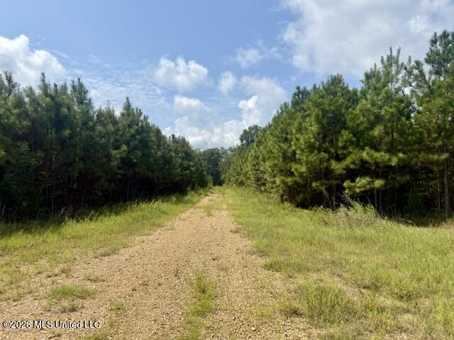 Ten Mile Creek Road