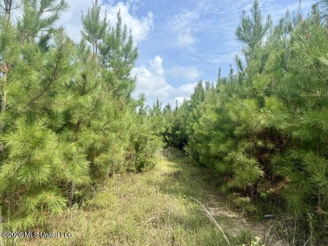 Ten Mile Creek Road