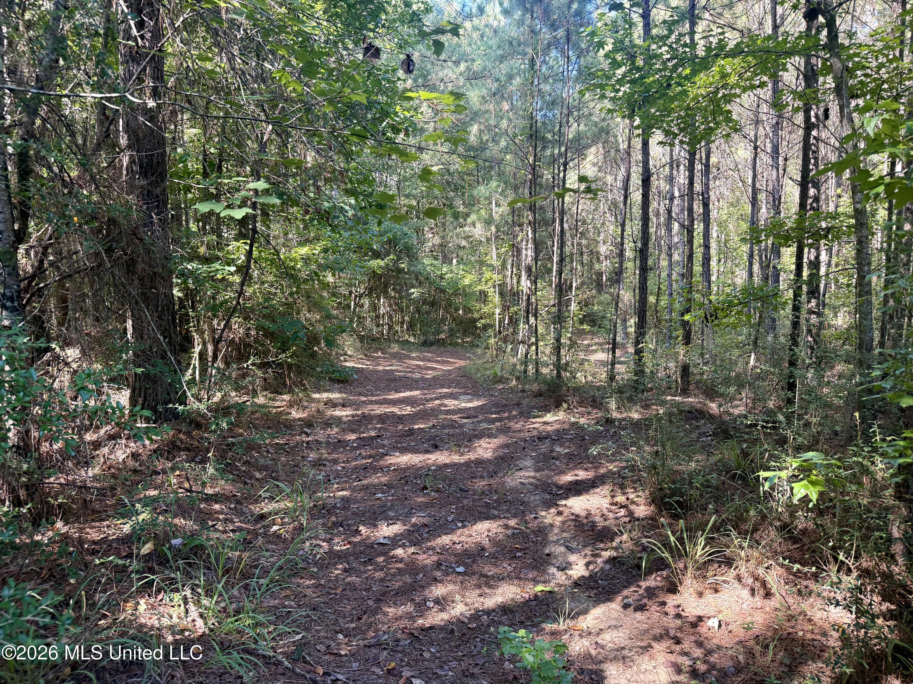Burt Jordan Road