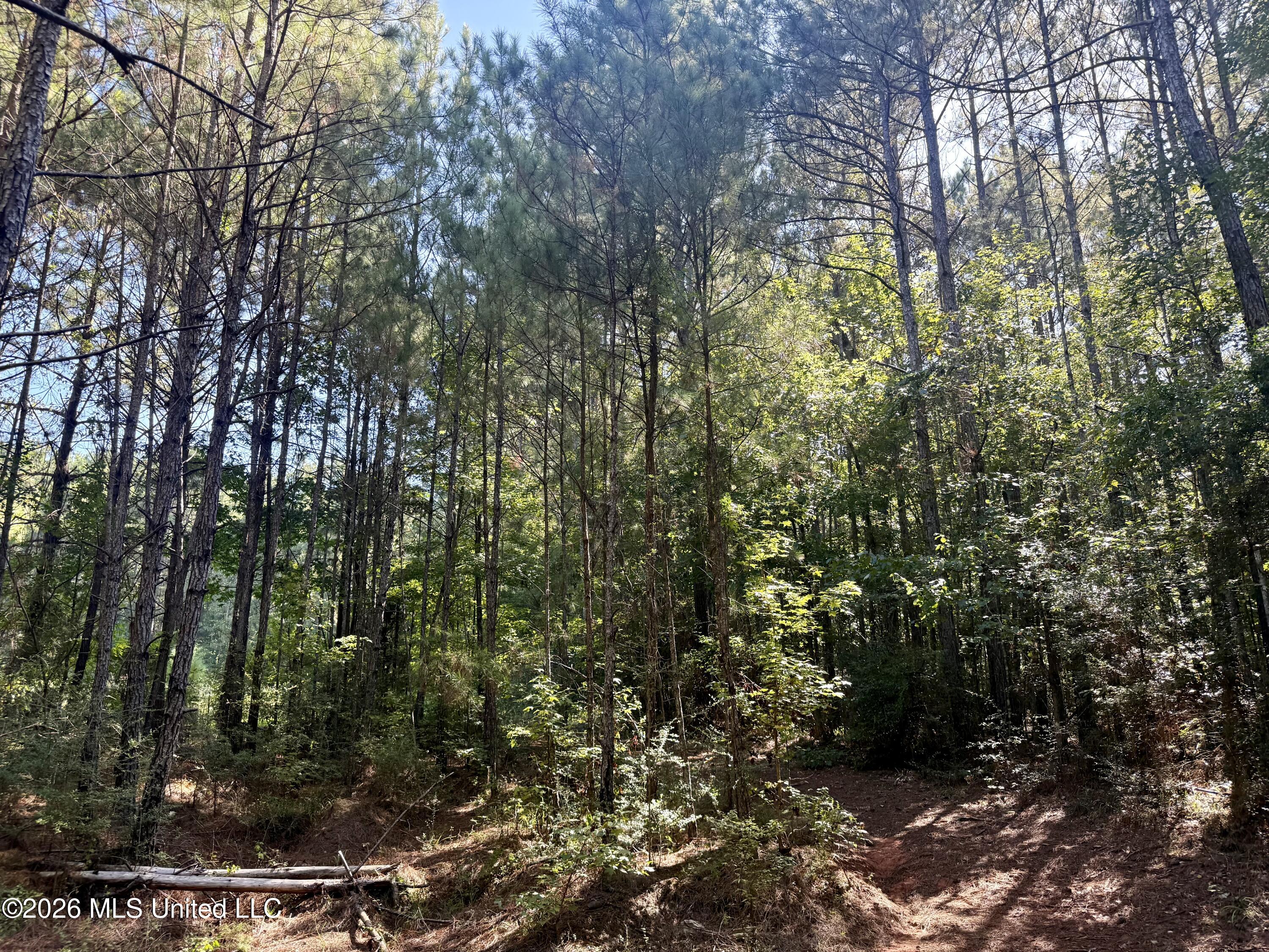 Burt Jordan Road
