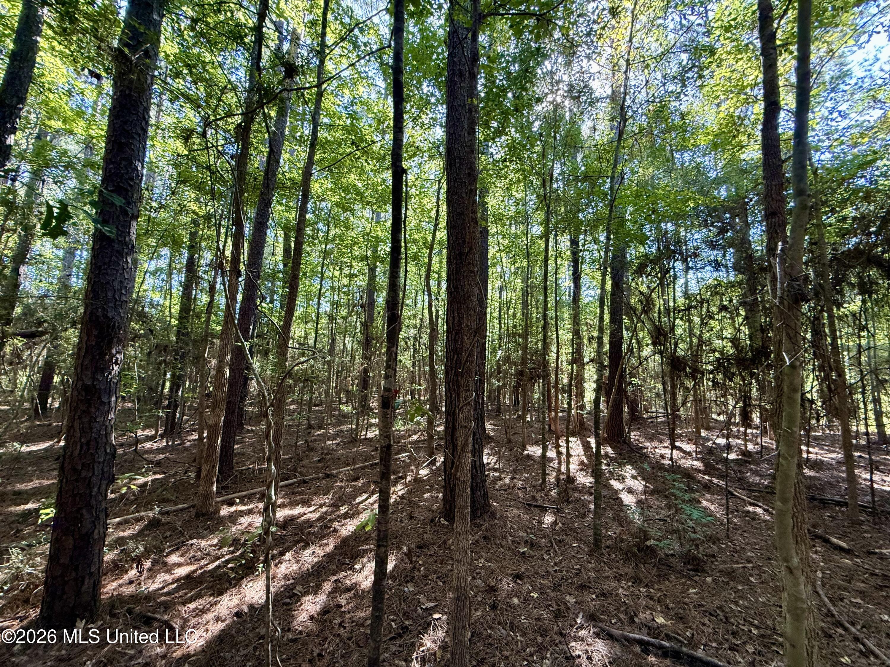 Dogwood Ln Se