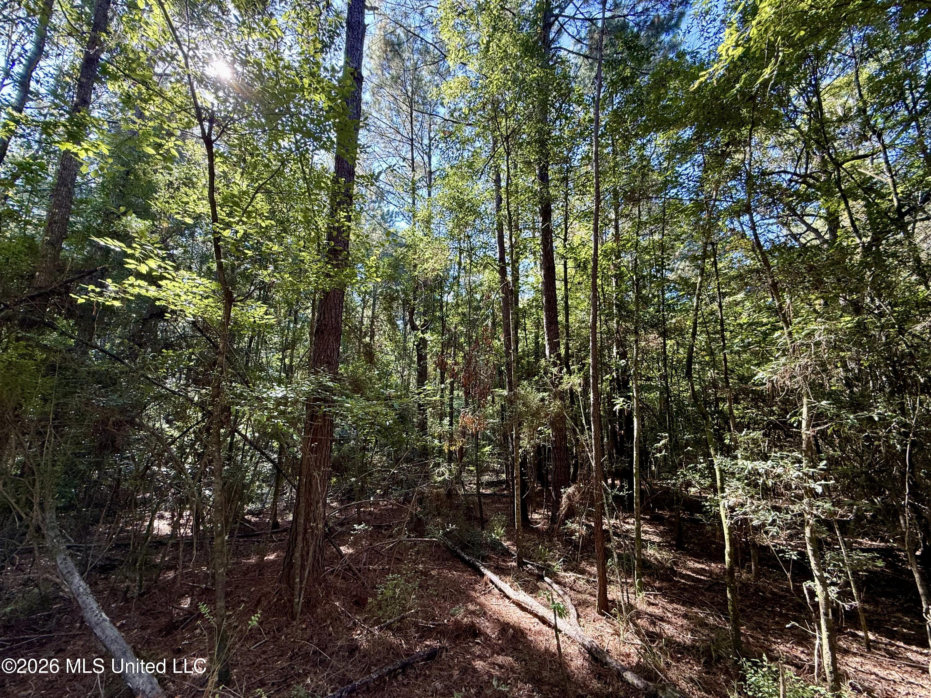 Dogwood Ln Se