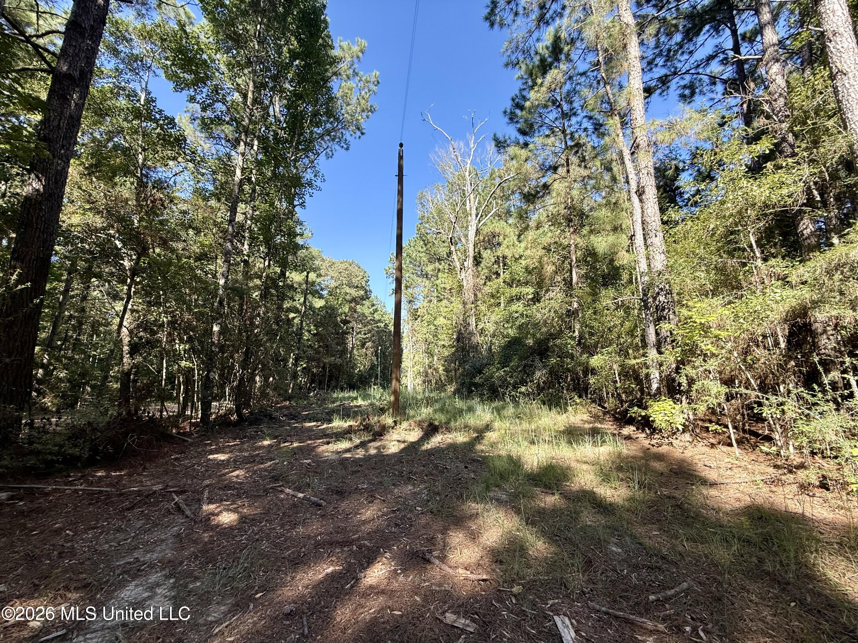 Dogwood Ln Se