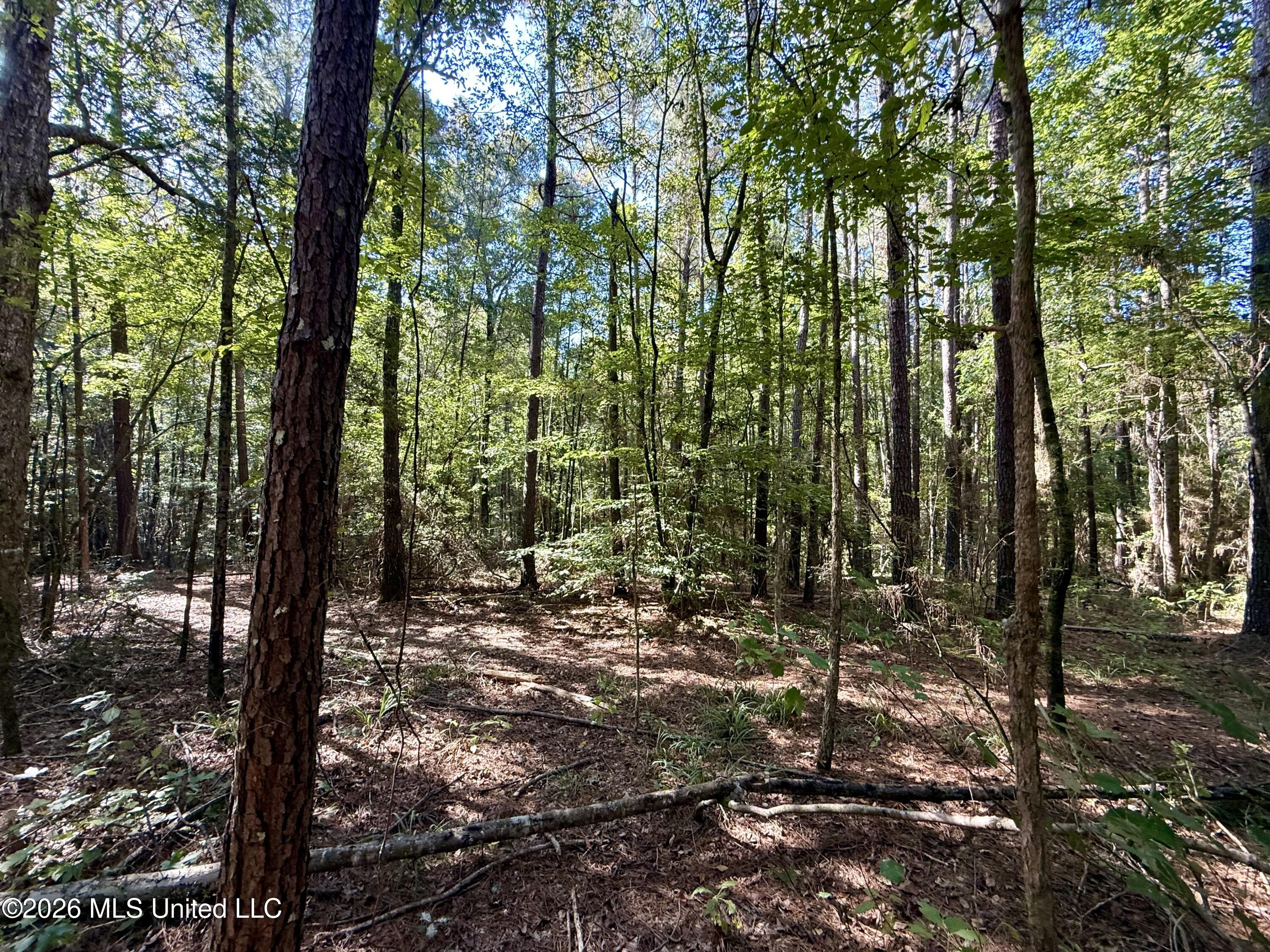 Dogwood Ln Se