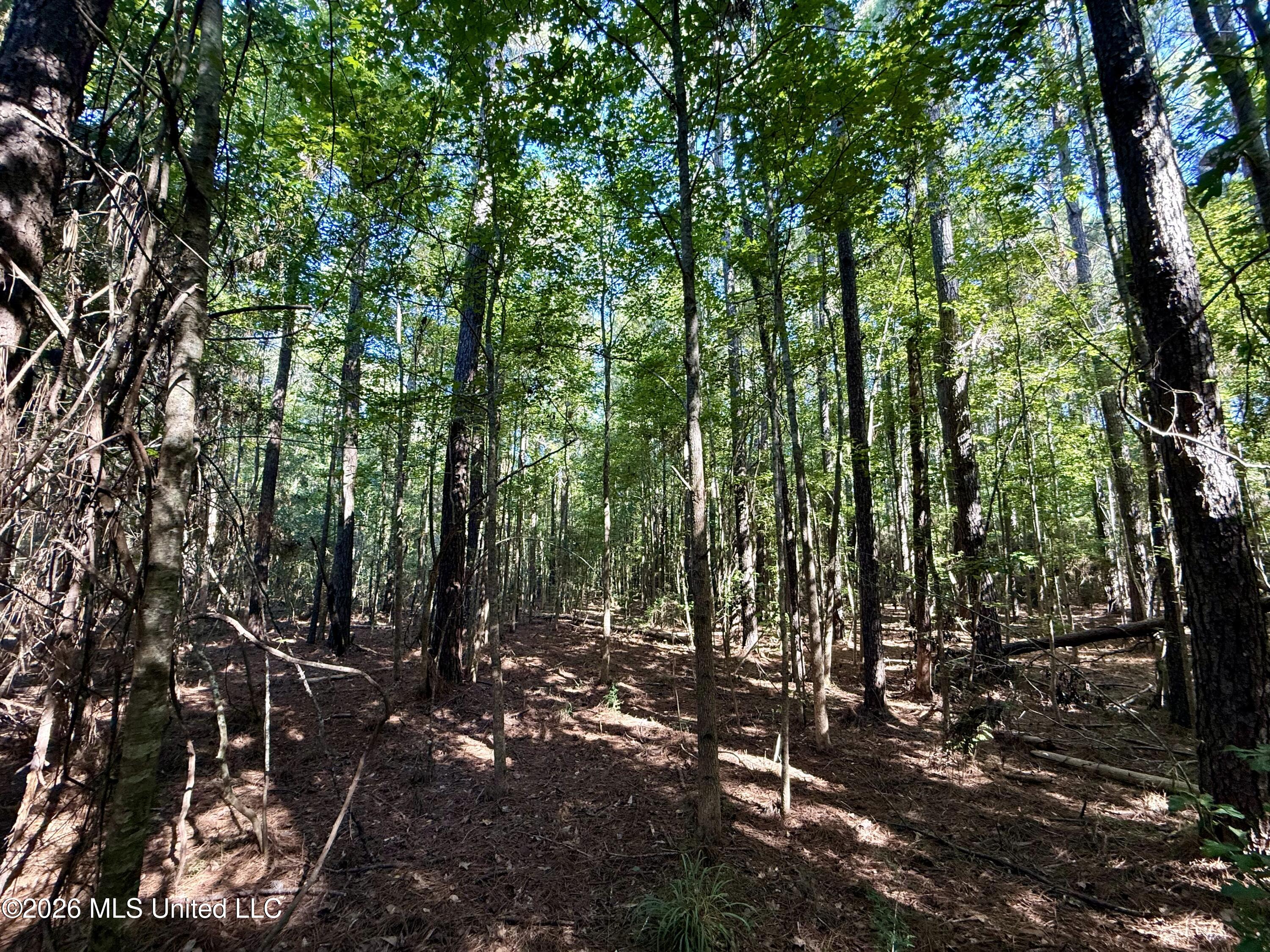 Dogwood Ln Se