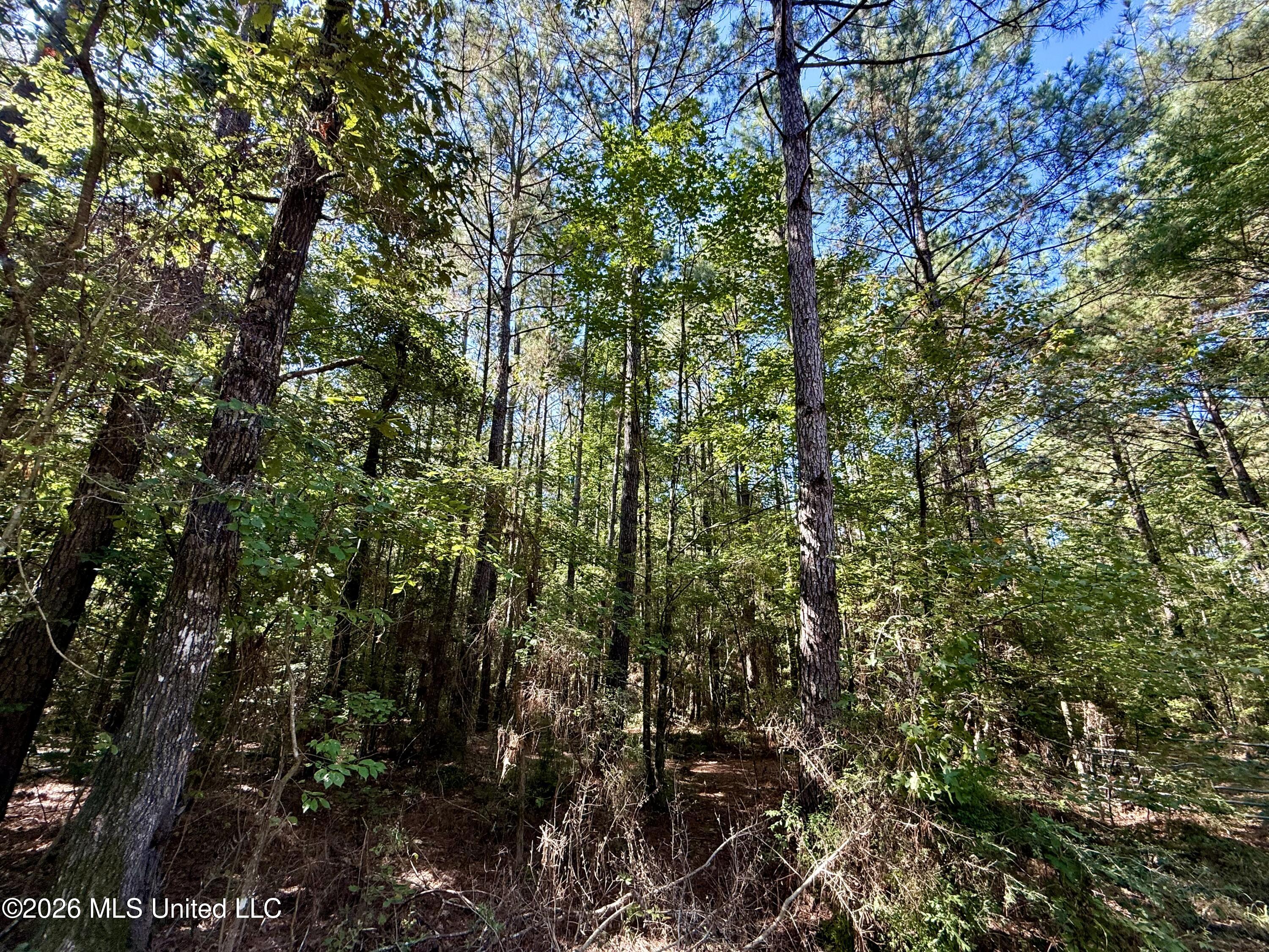 Dogwood Ln Se