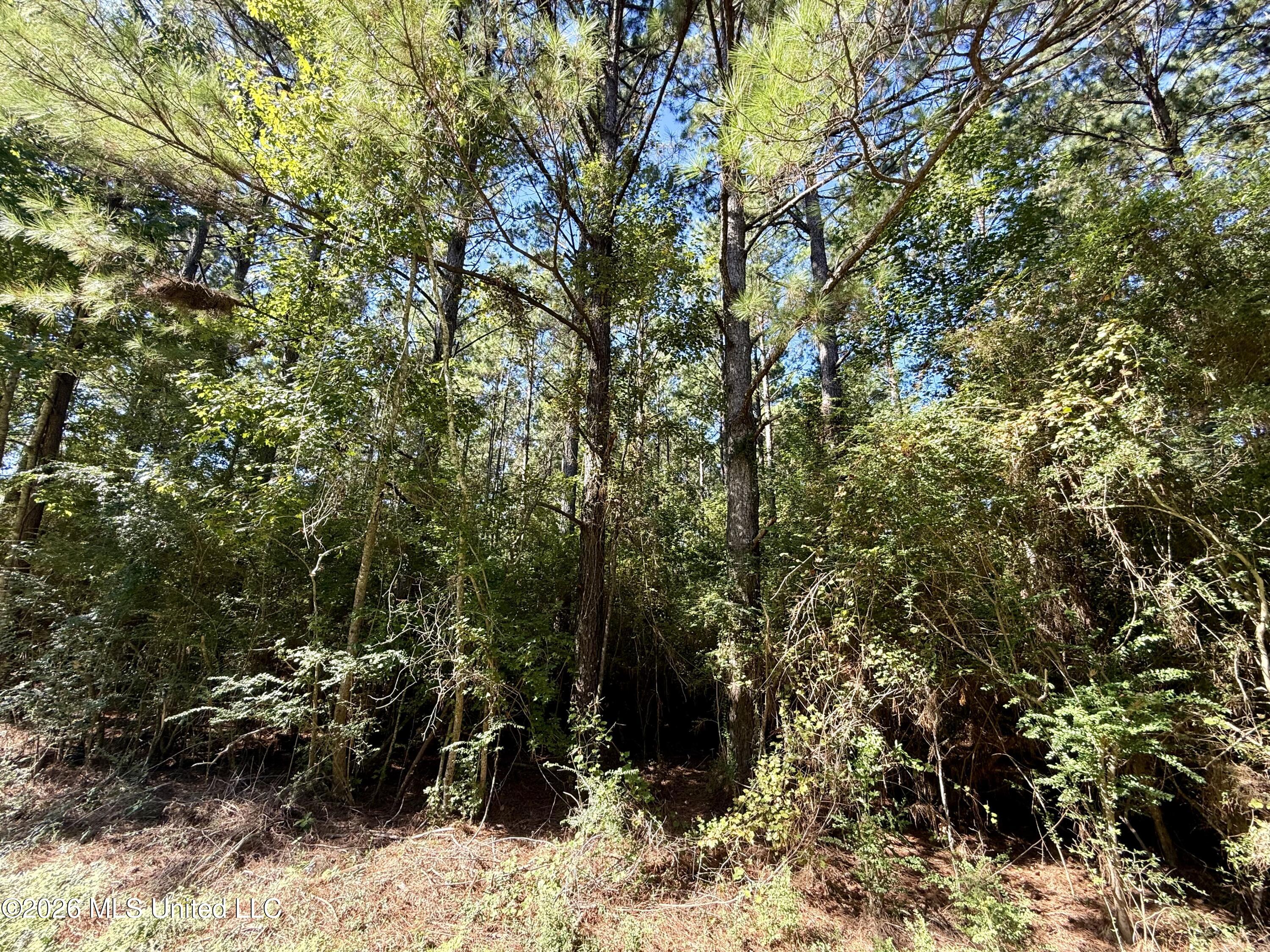 Dogwood Ln Se