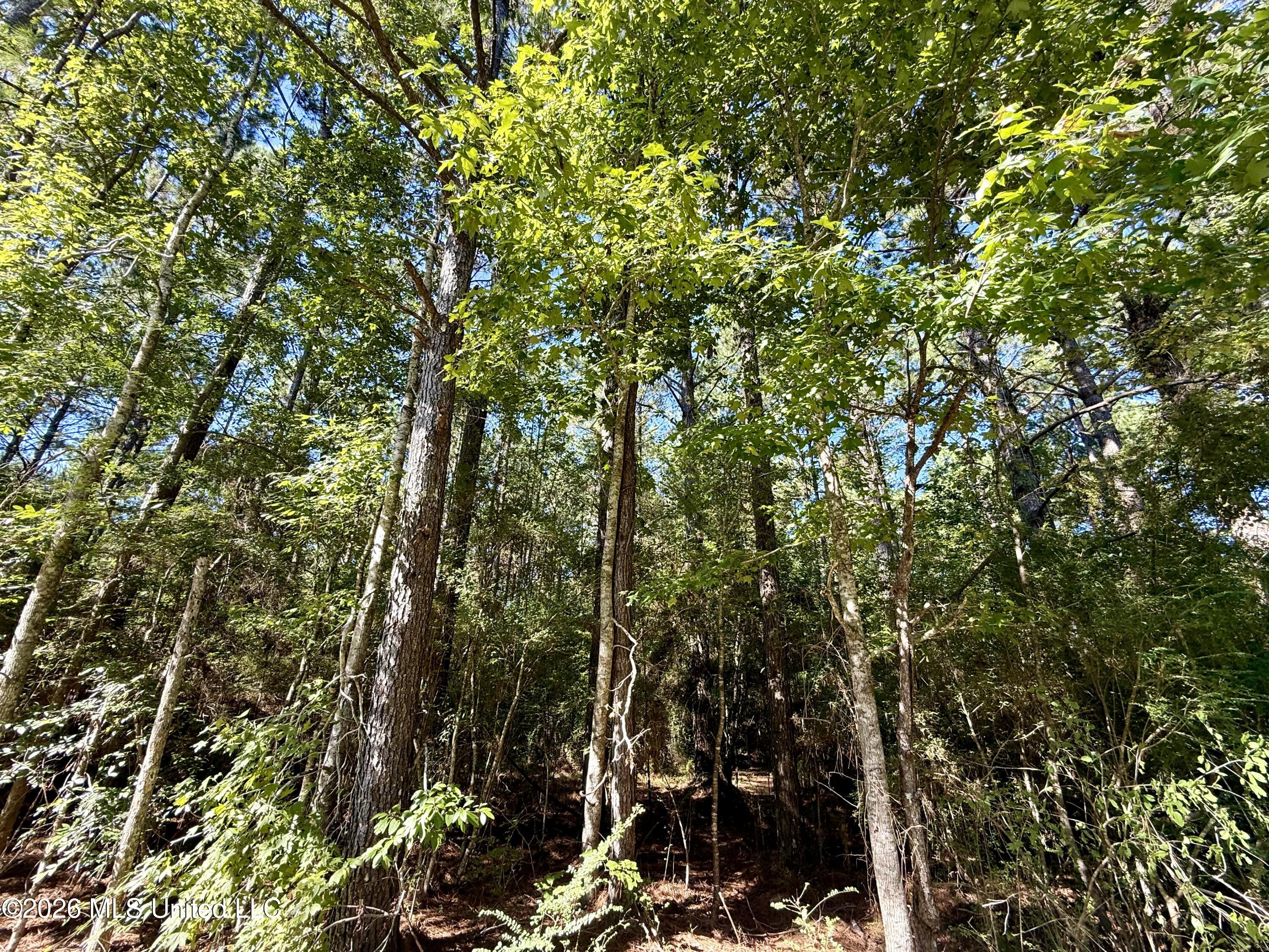Dogwood Ln Se