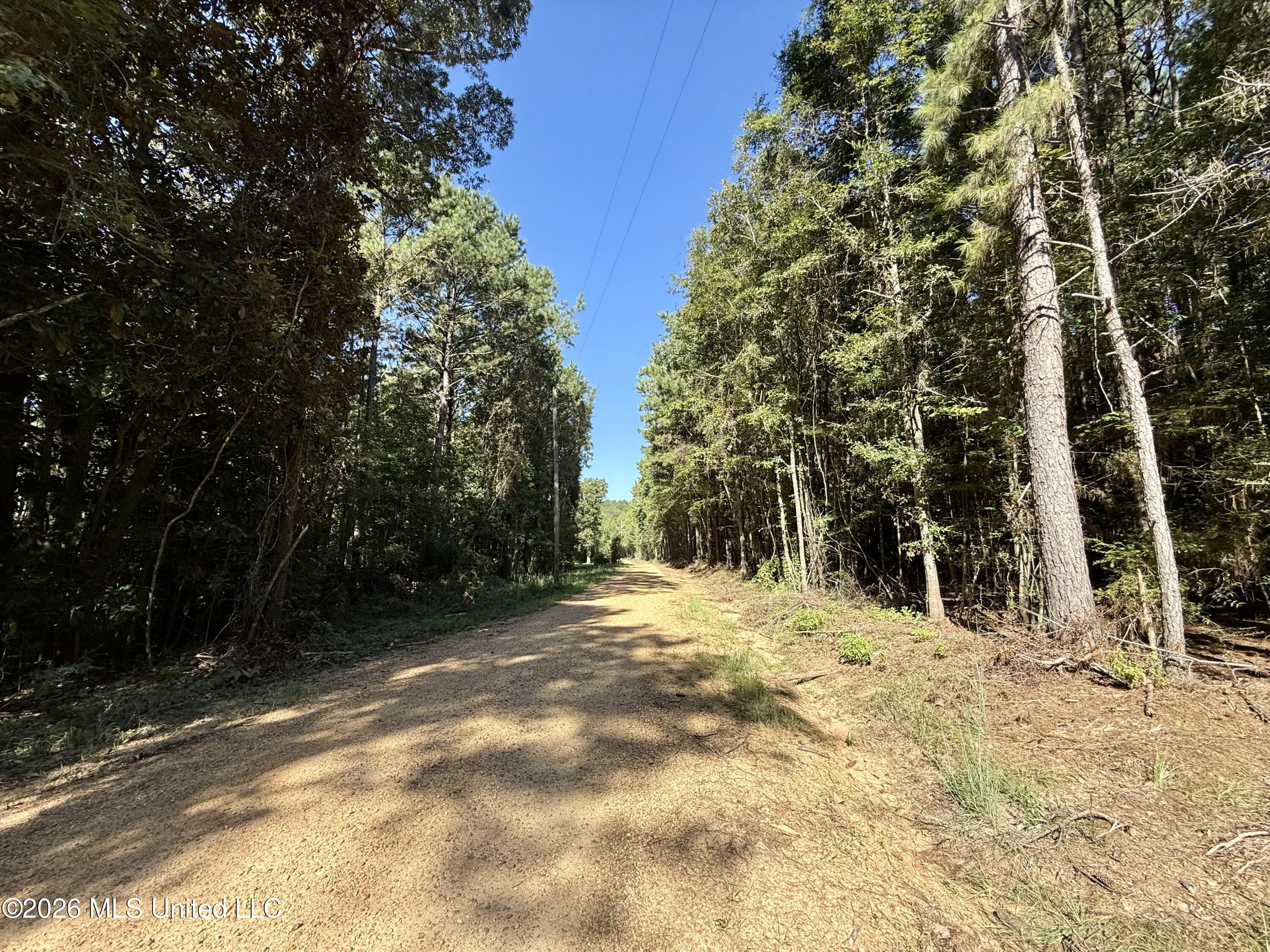 Dogwood Ln Se