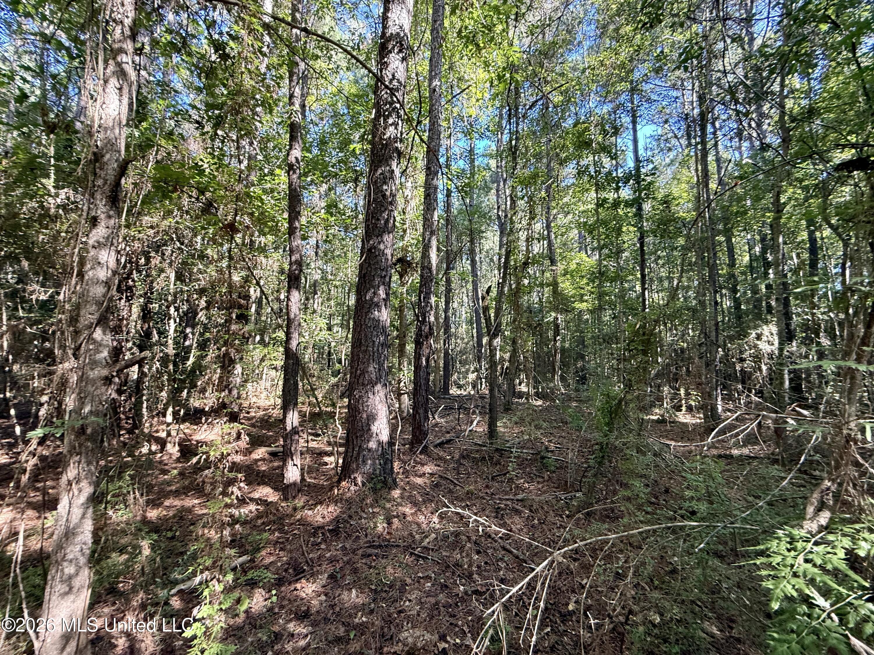 Dogwood Ln Se