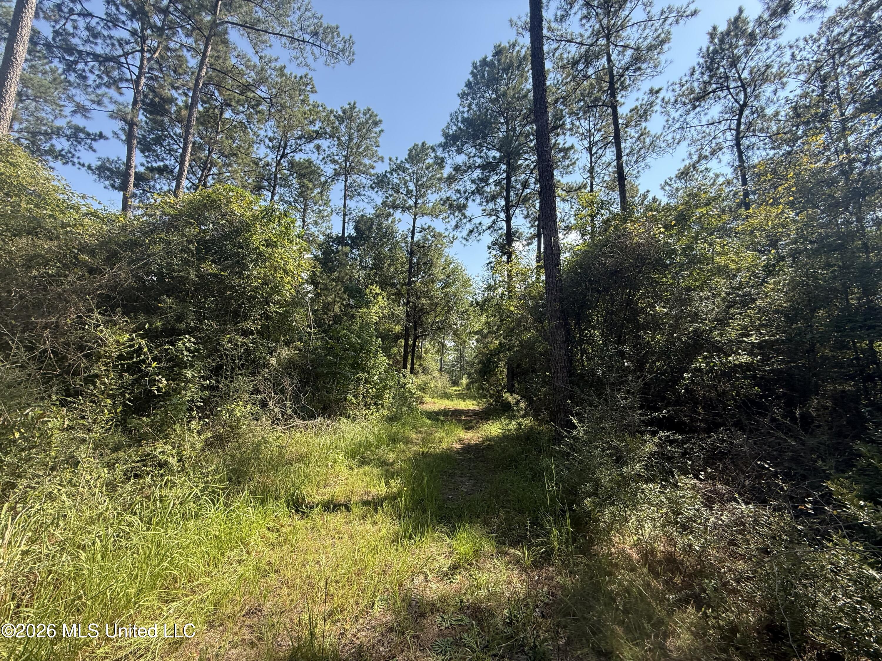 Merritt Road