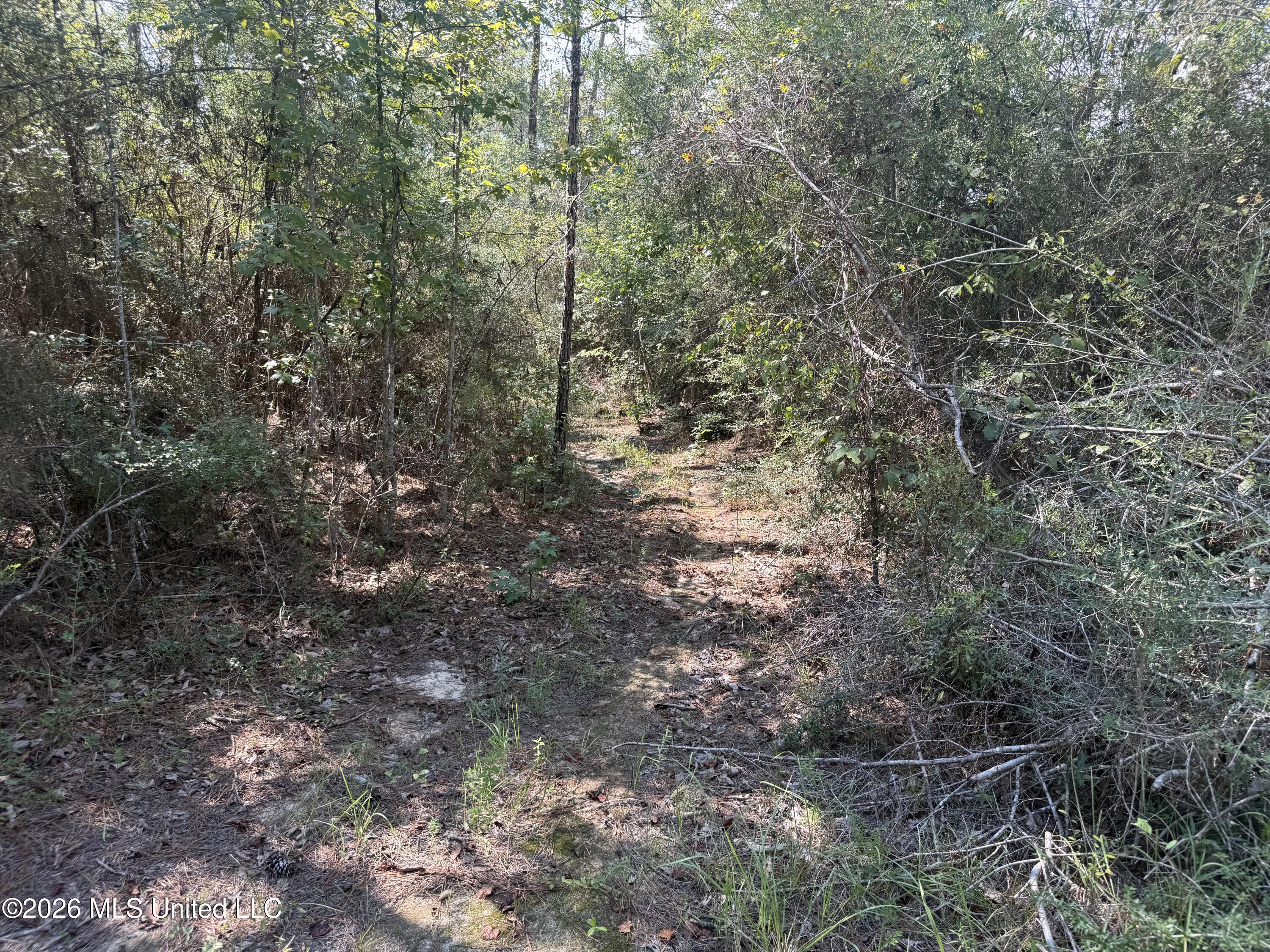 Merritt Road