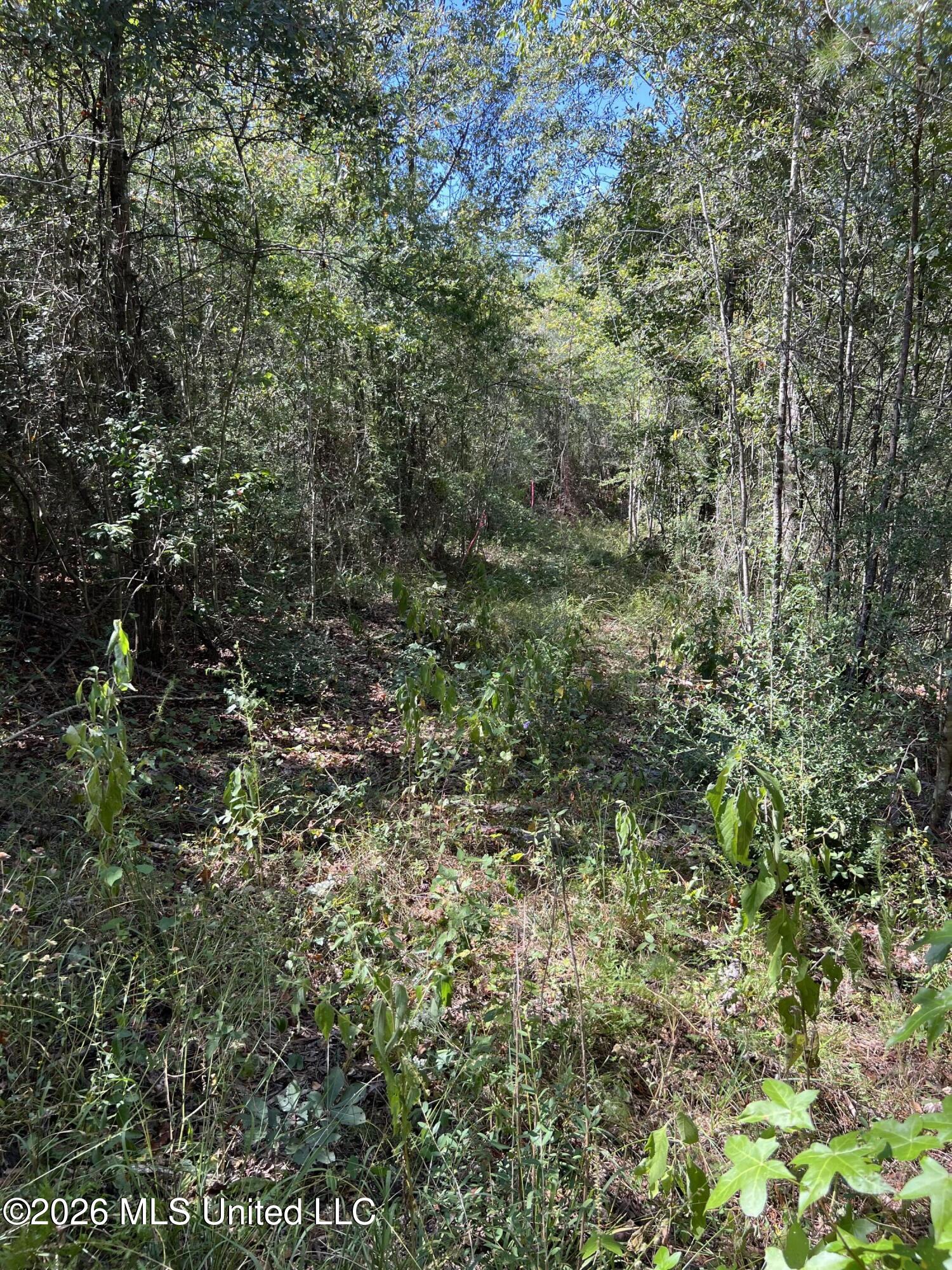 Matthews Road