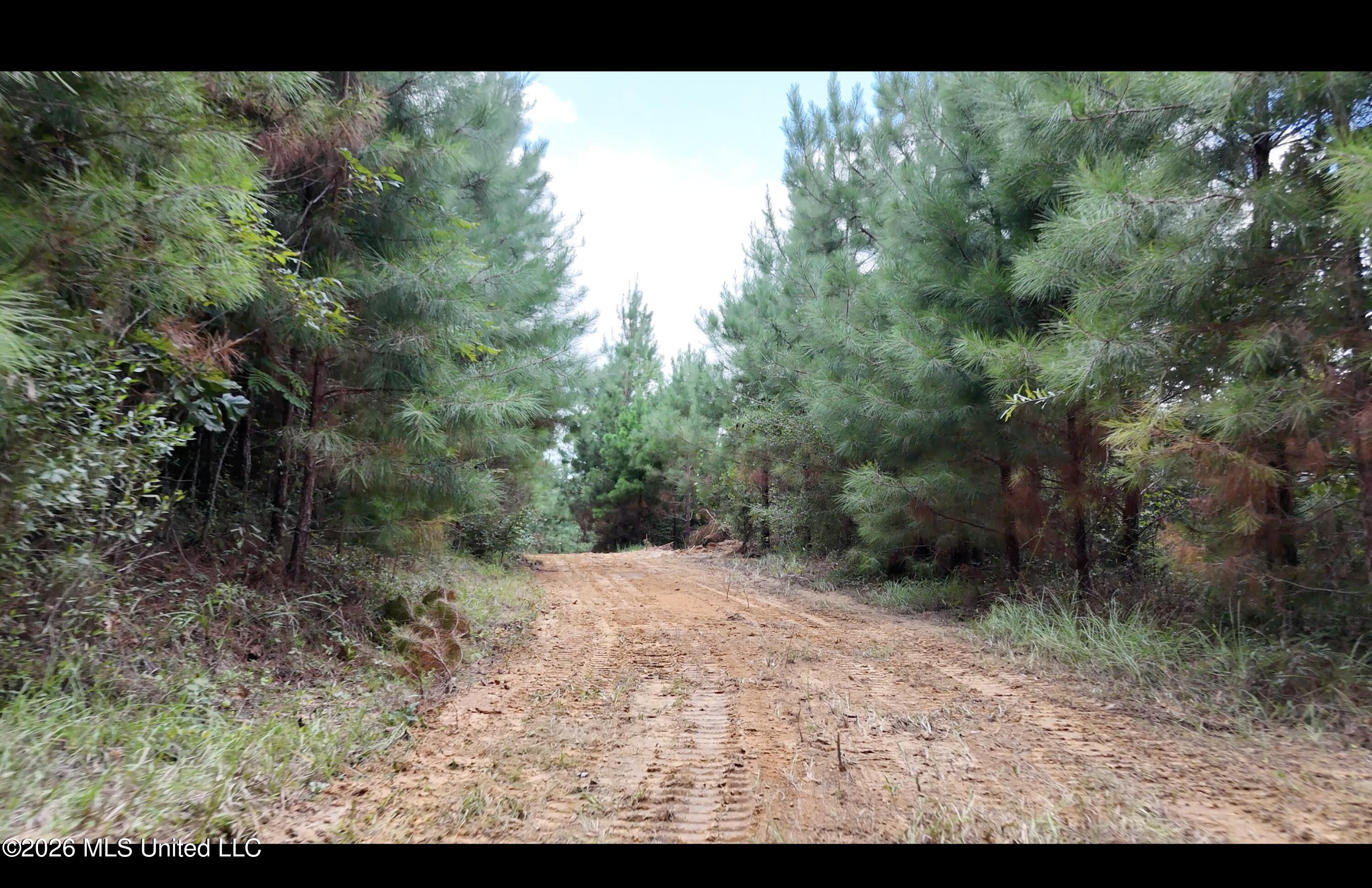Plez Drive