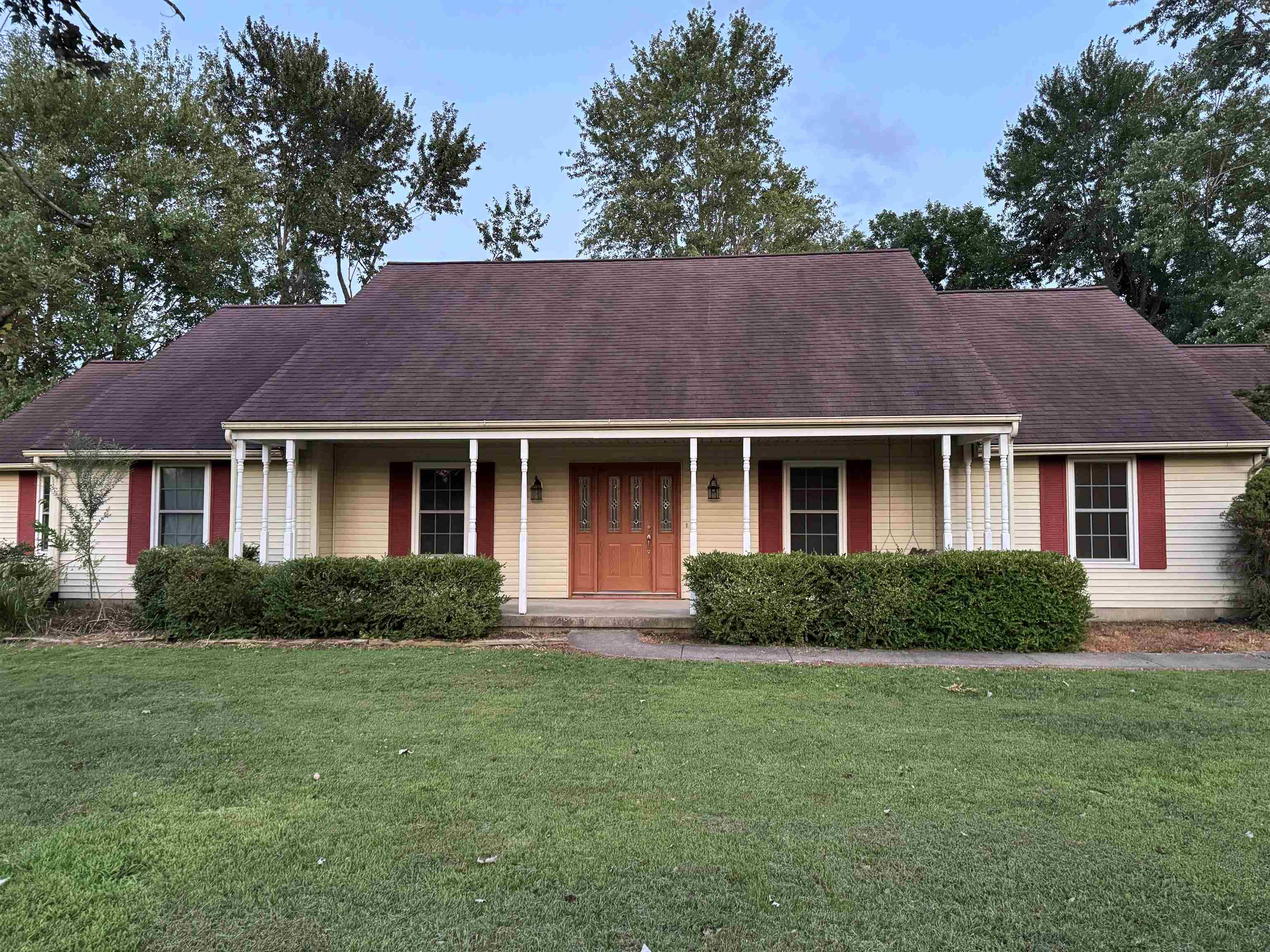 250 Meadowview St