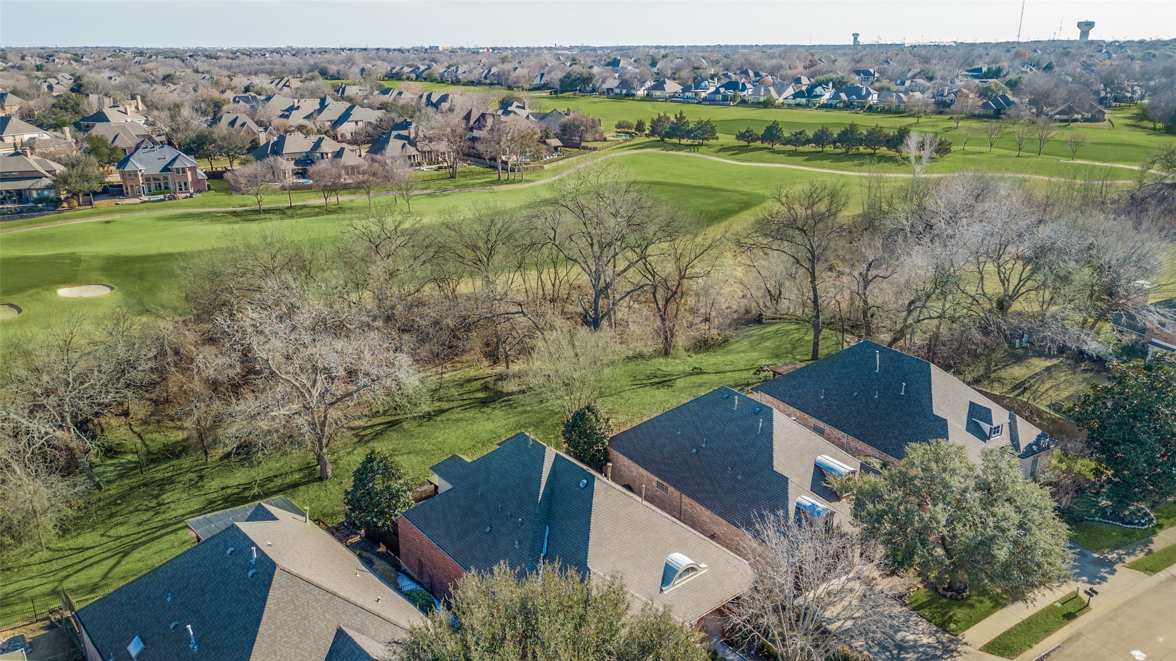 1513 HACKETT CREEK Drive