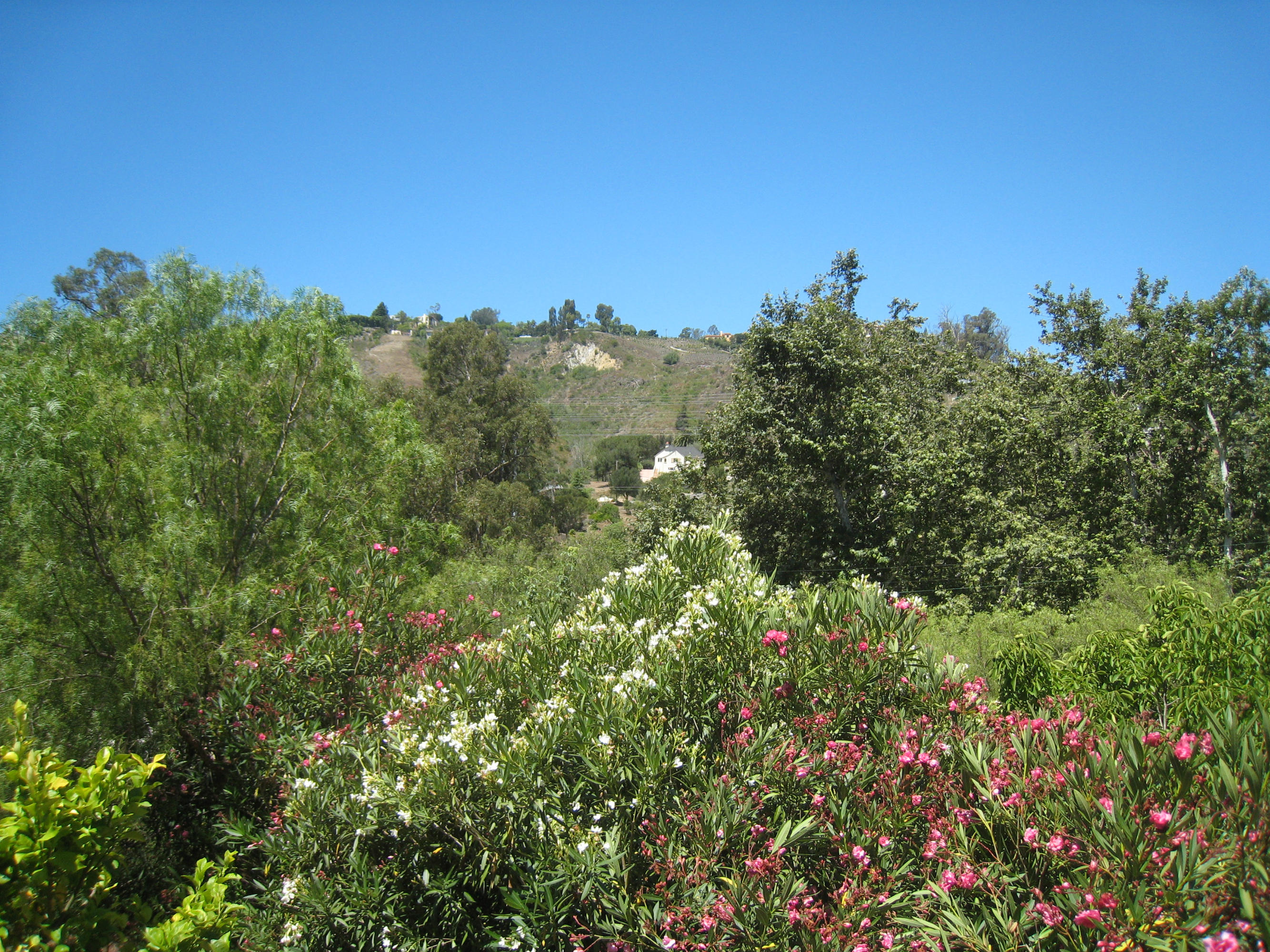 595 Sycamore Vista Road