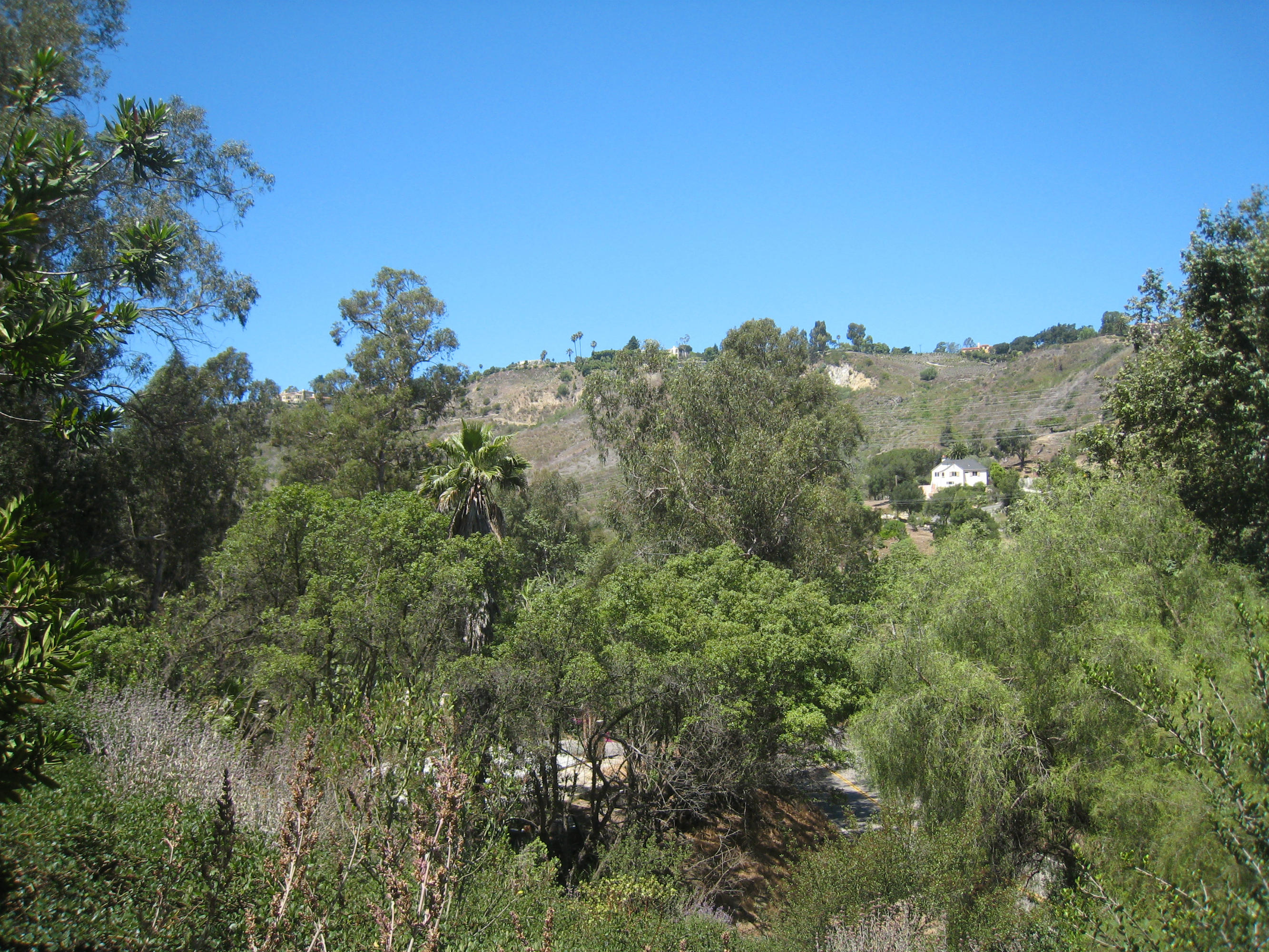 595 Sycamore Vista Road
