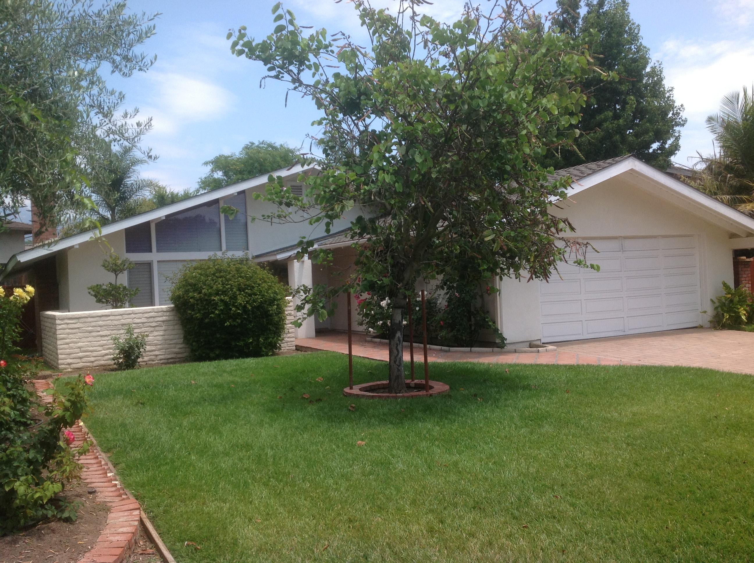 930 Dena Way