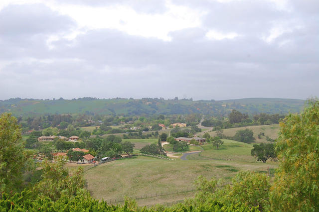 SANTA YNEZ
