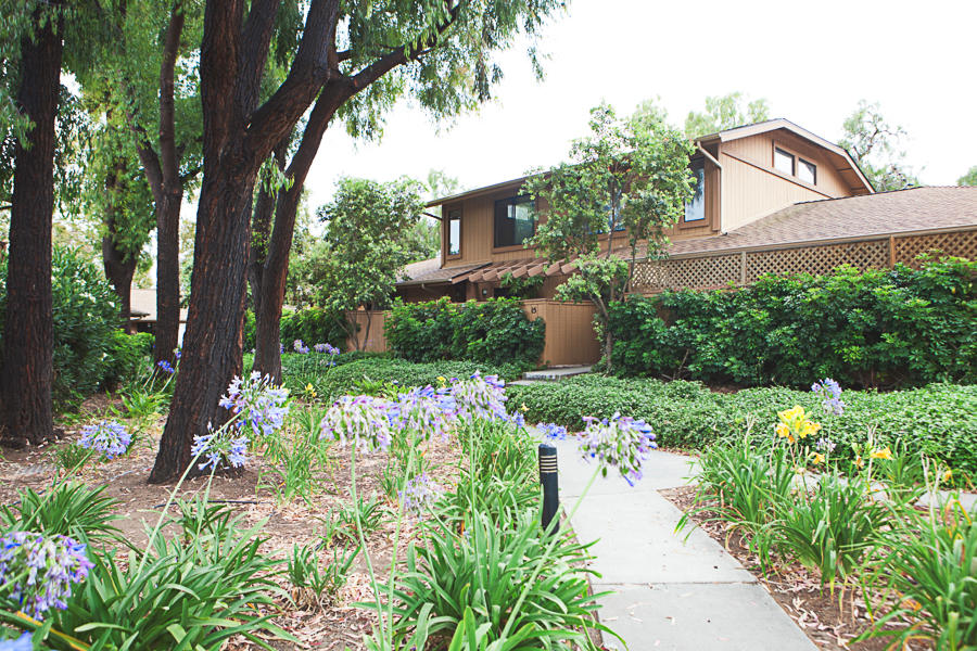 5290 Overpass Road, 15