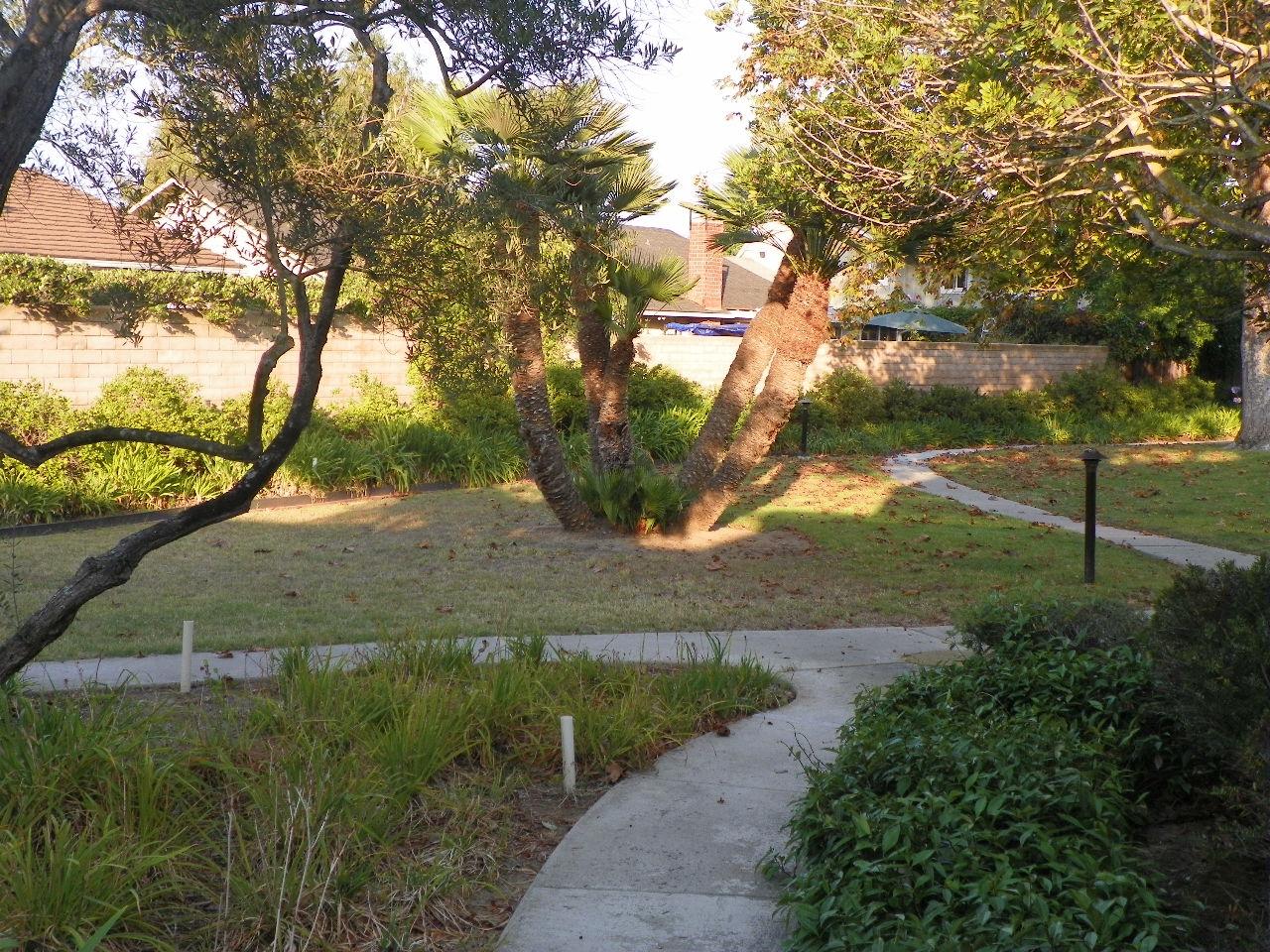 561 Mills Way