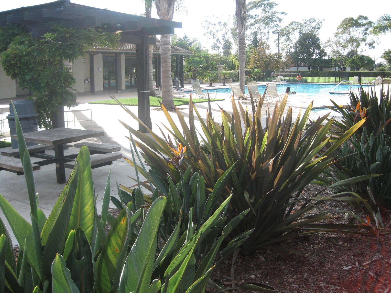 545 Sweet Rain Place