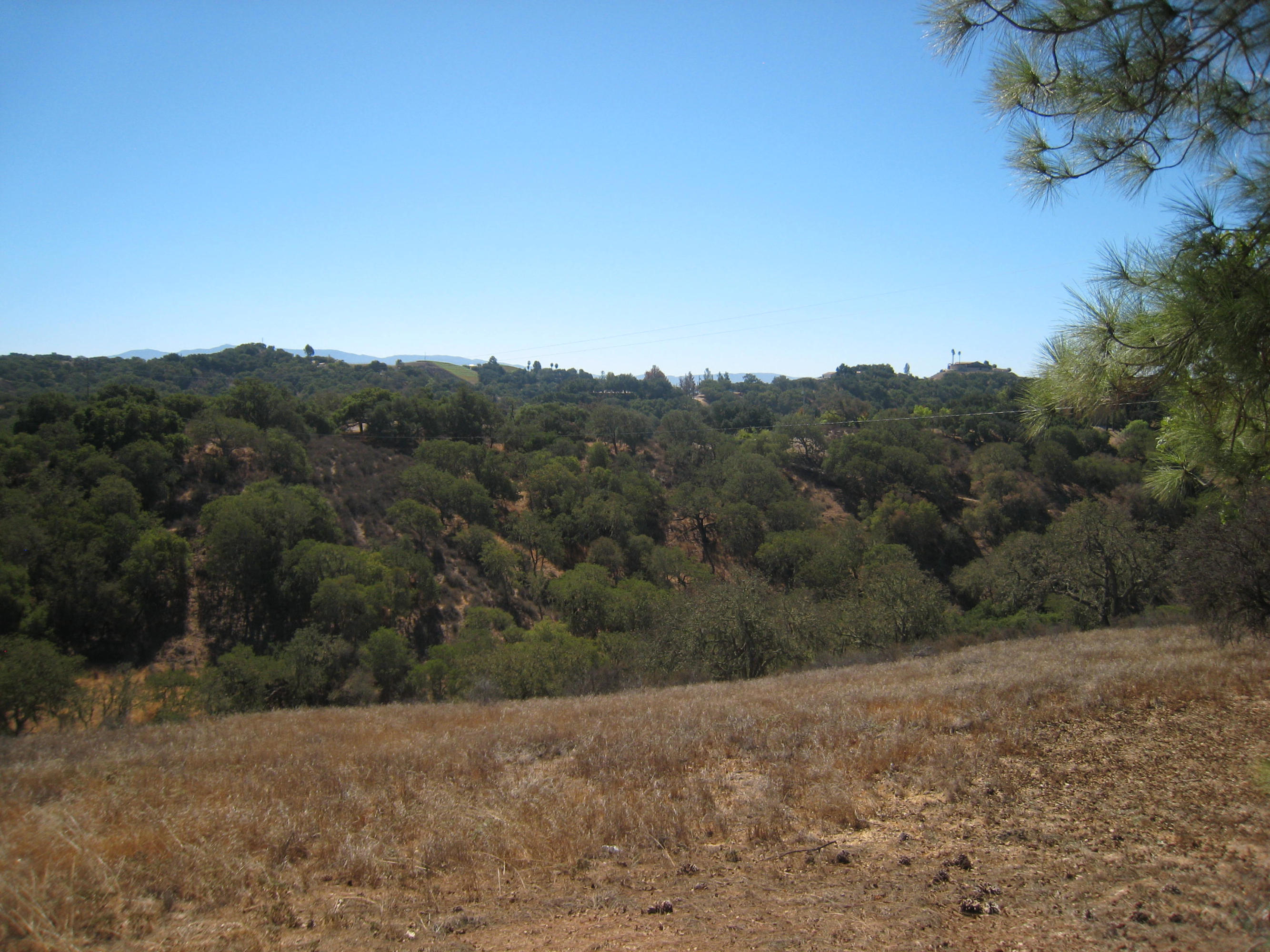 4285 Oak View Road