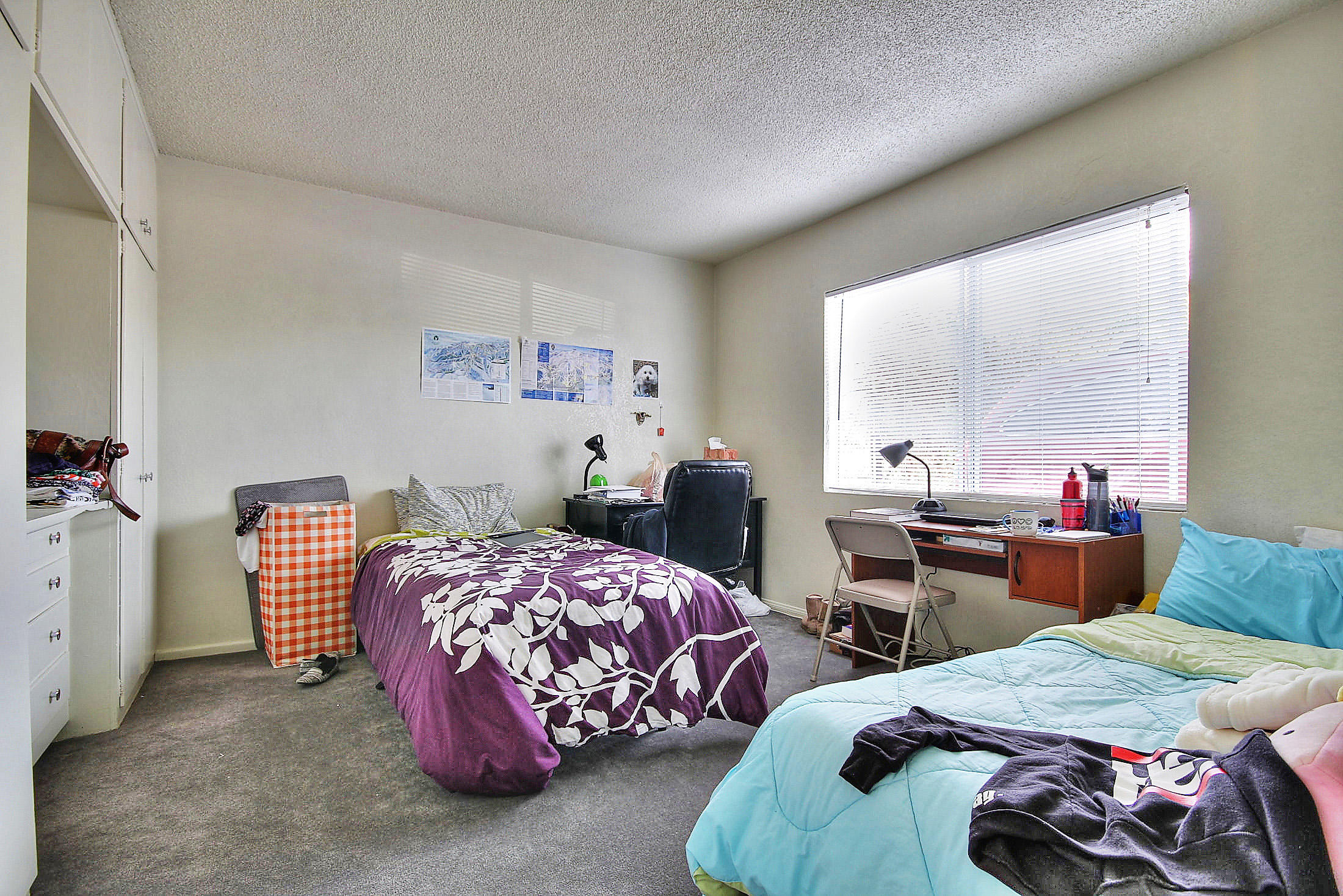 6565 Segovia Road