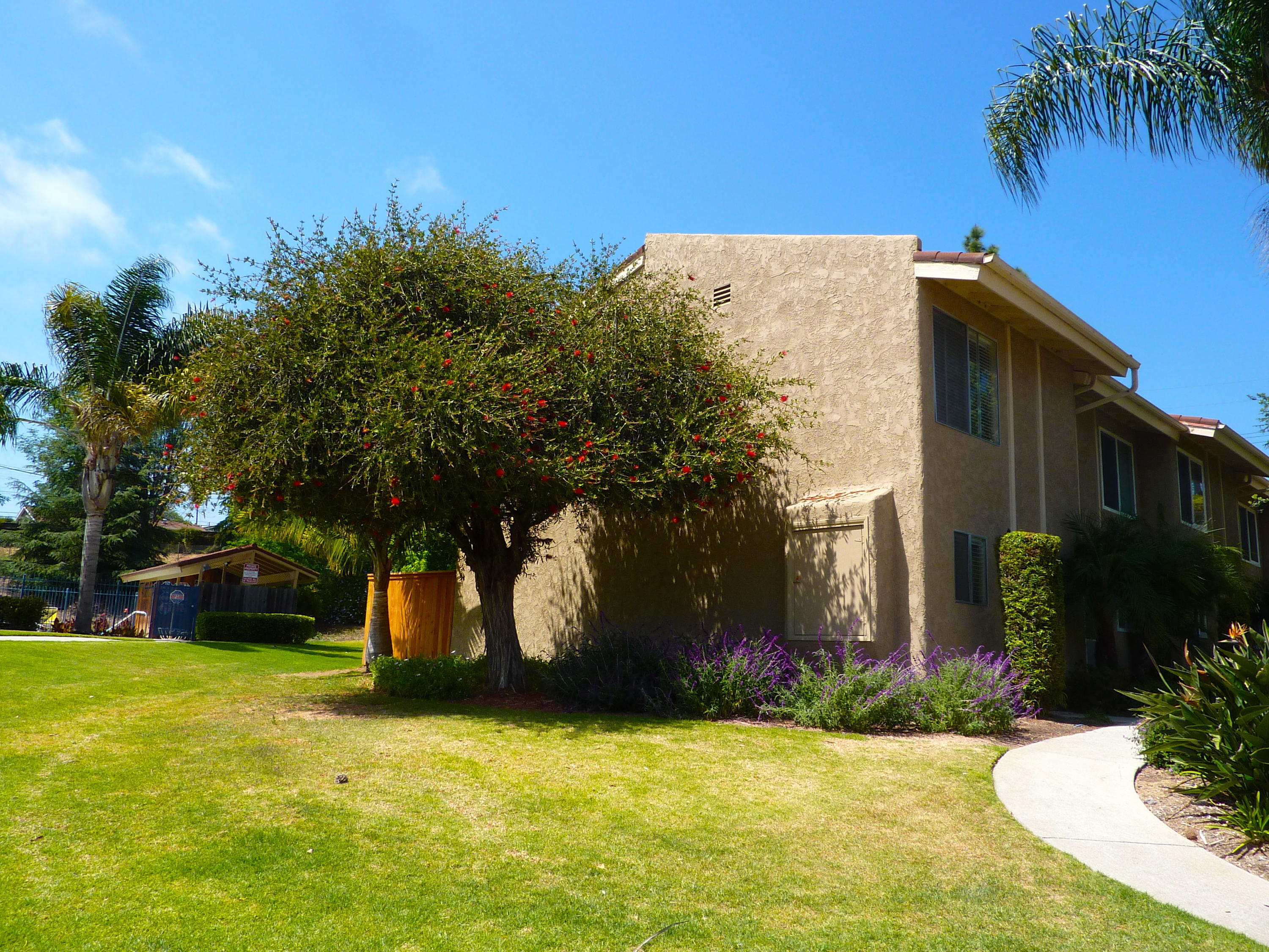 7386 Calle Real, 32