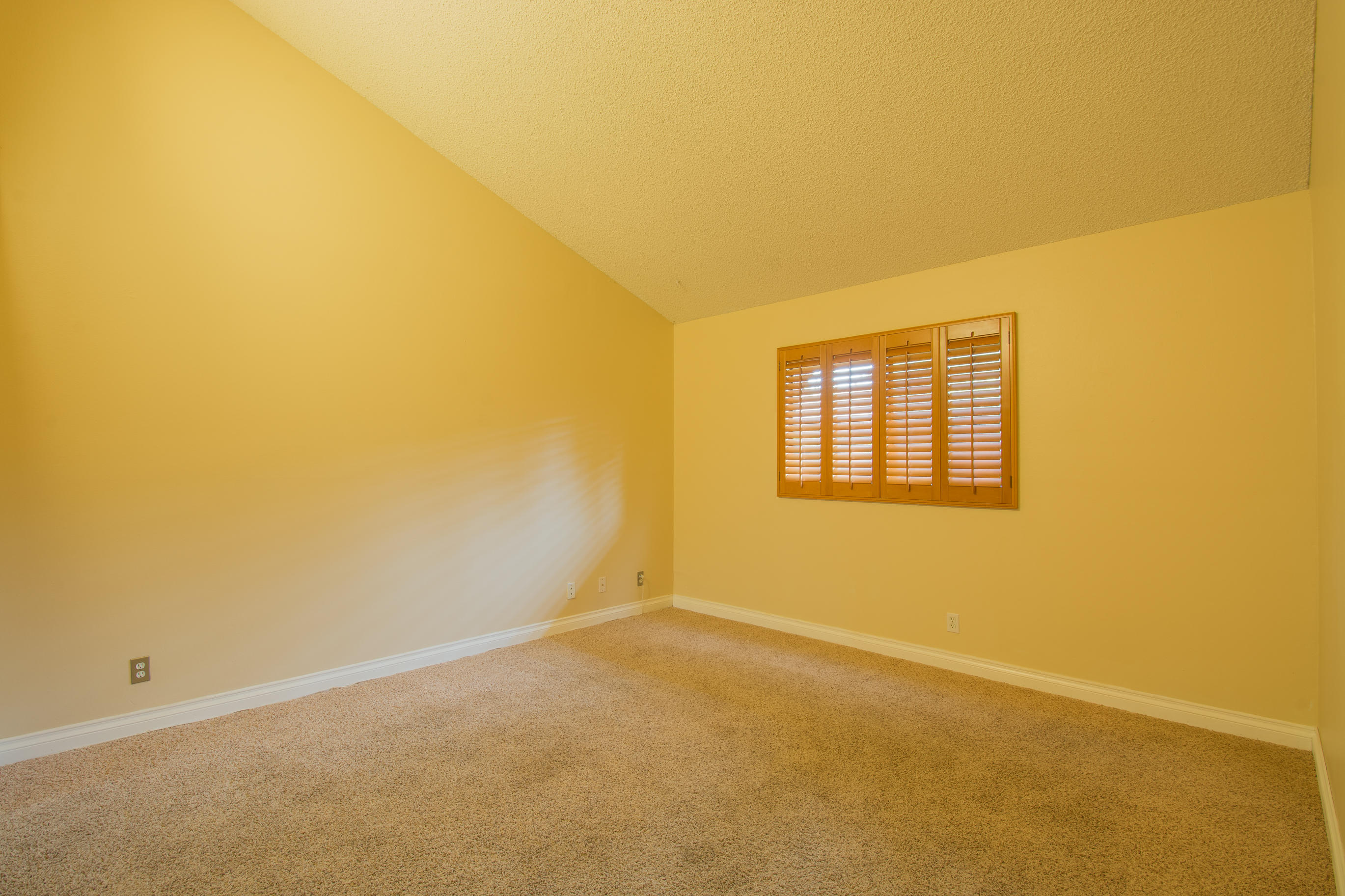 5290 Overpass Road, 12
