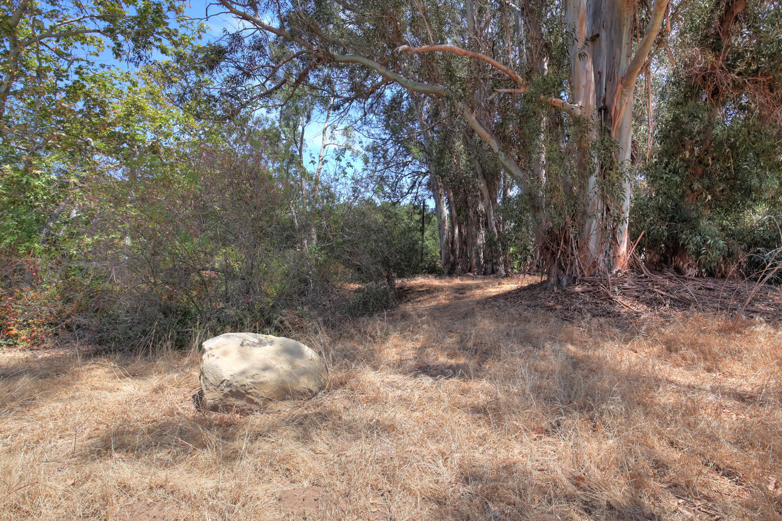 631 Vala Drive