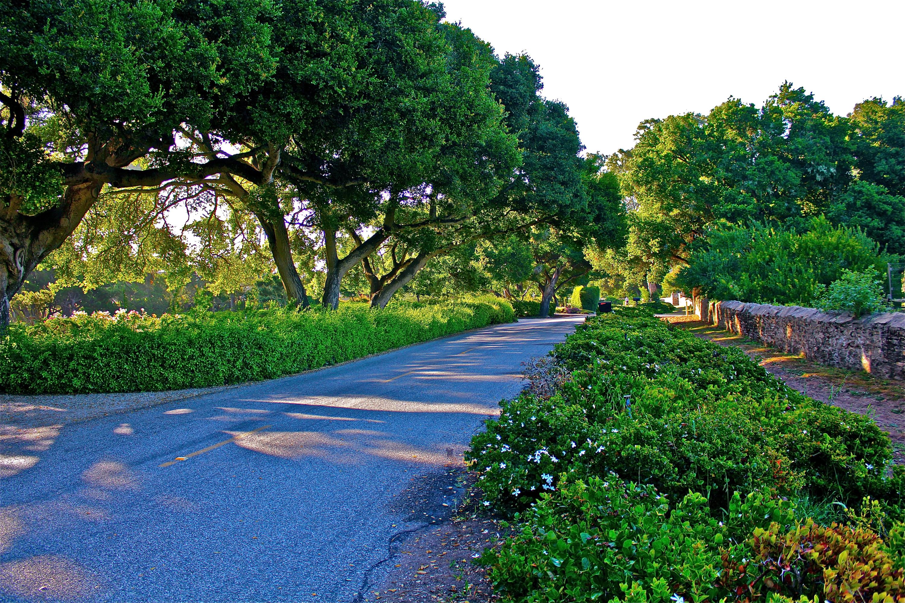 SANTA BARBARA