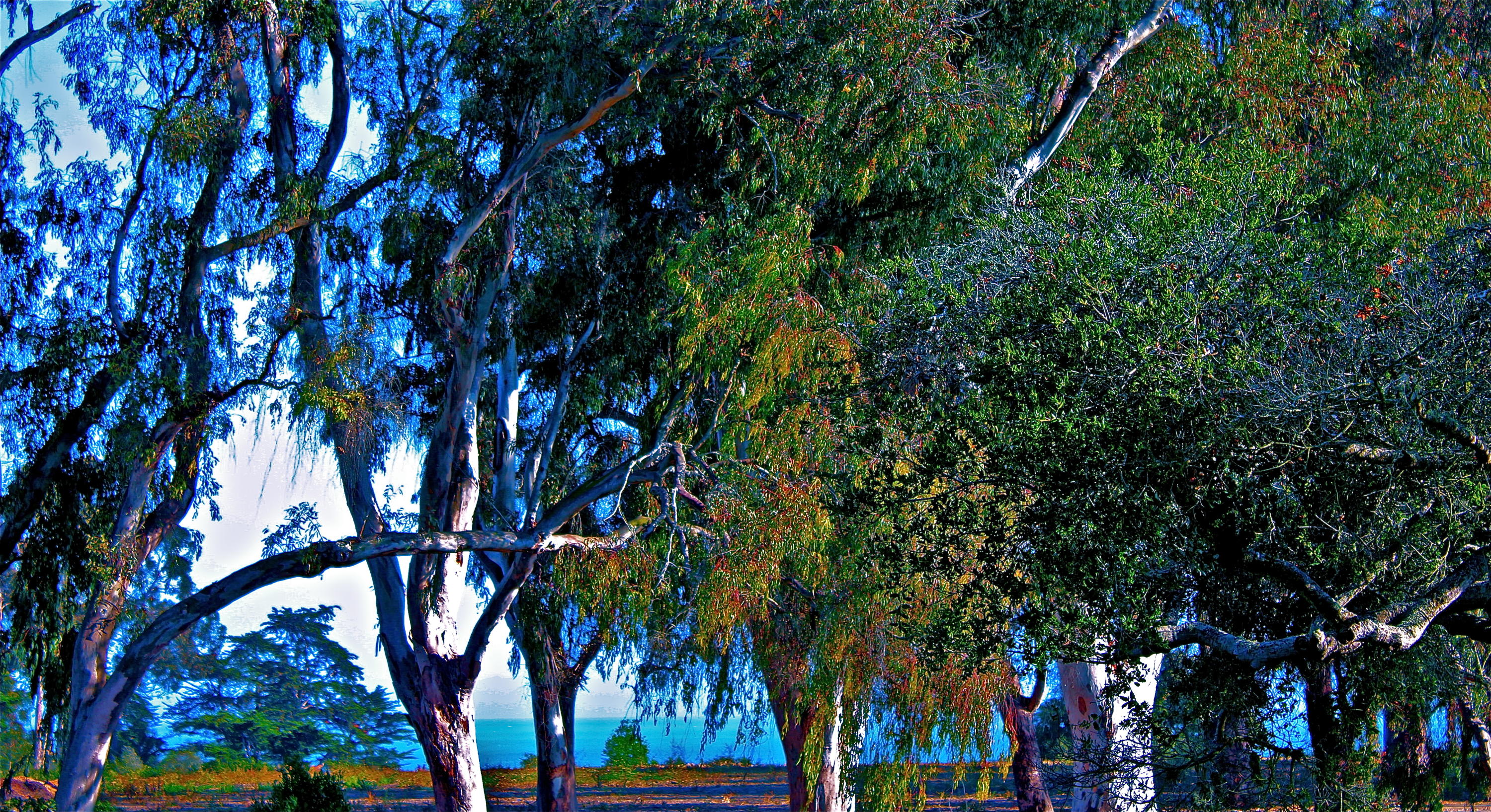 SANTA BARBARA