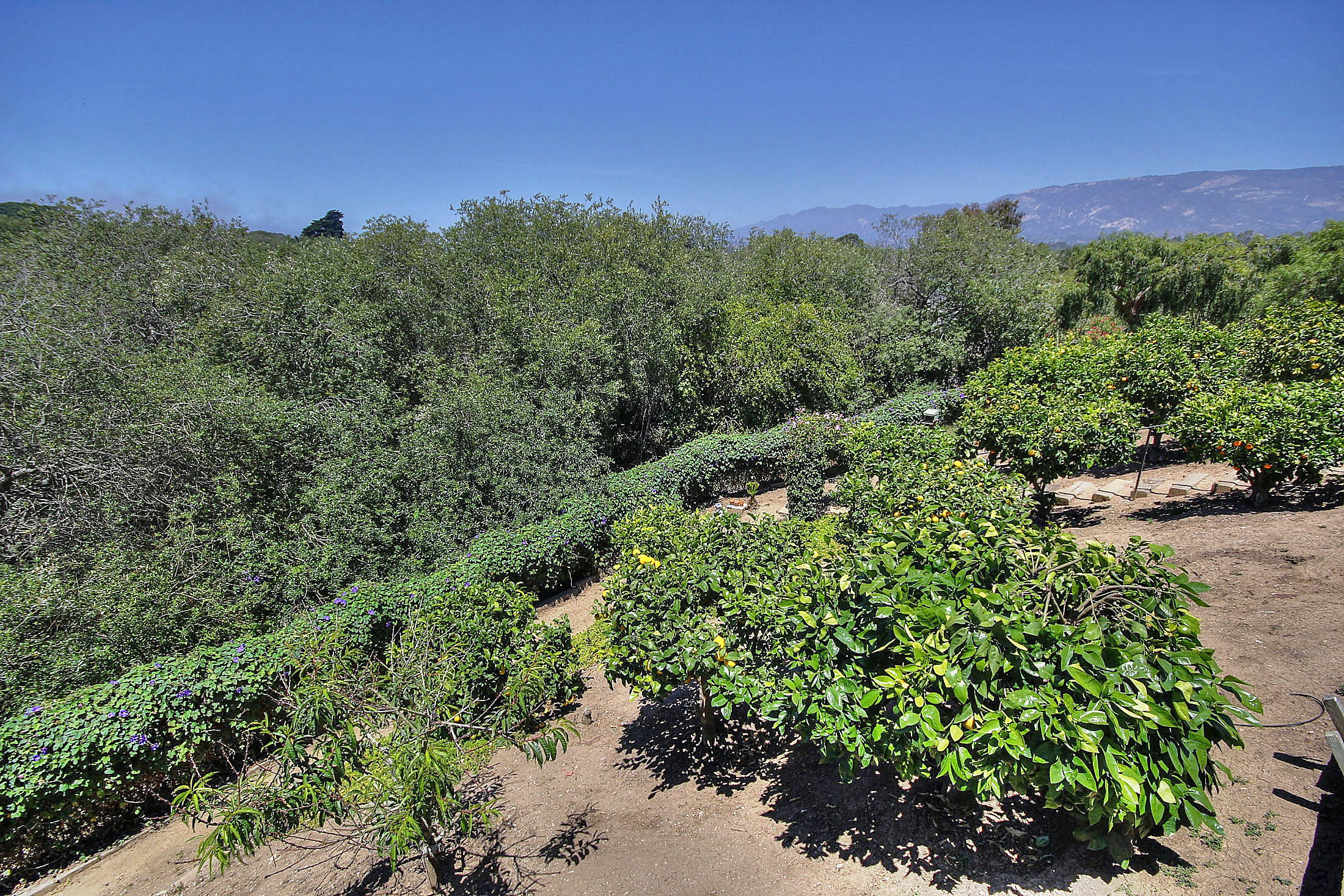 5266 James Road