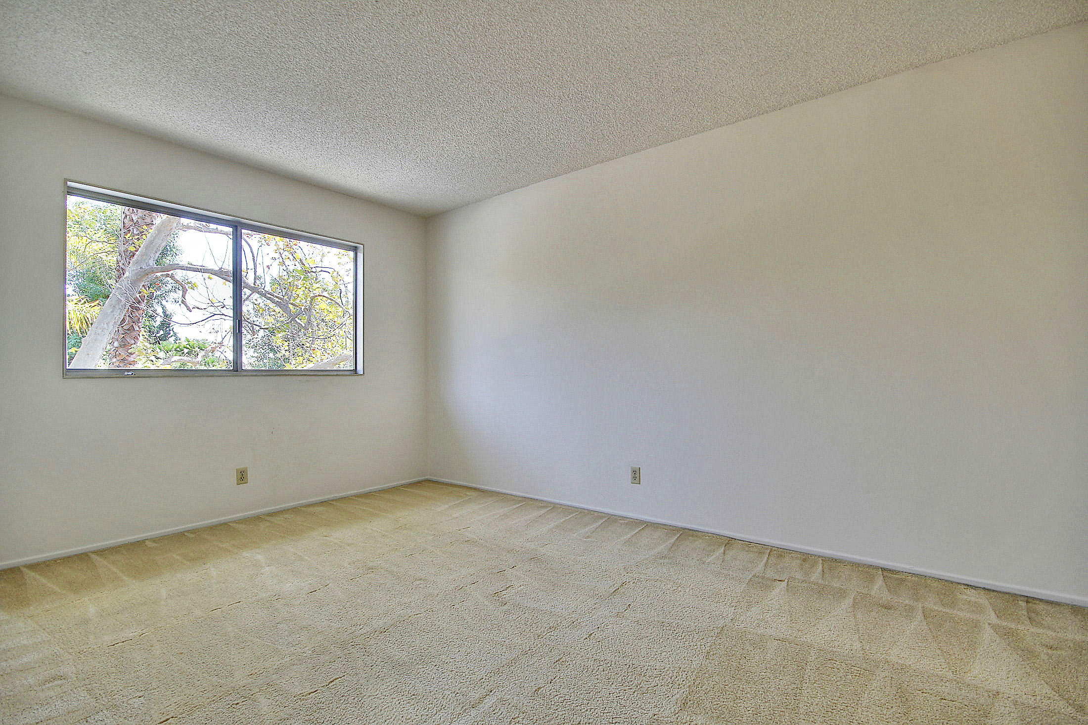 6415 Camino Viviente