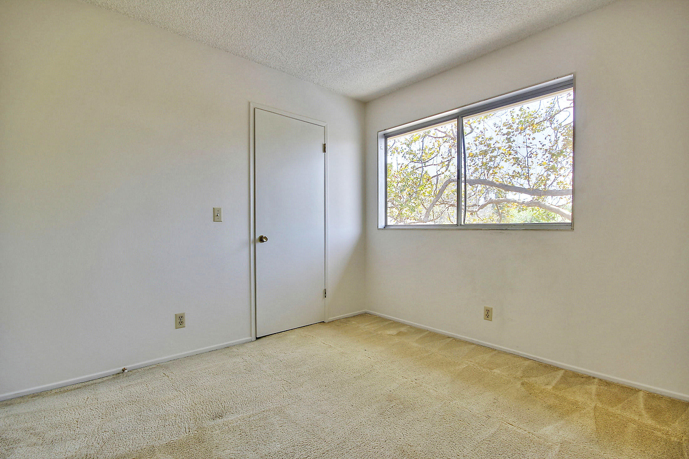 6415 Camino Viviente