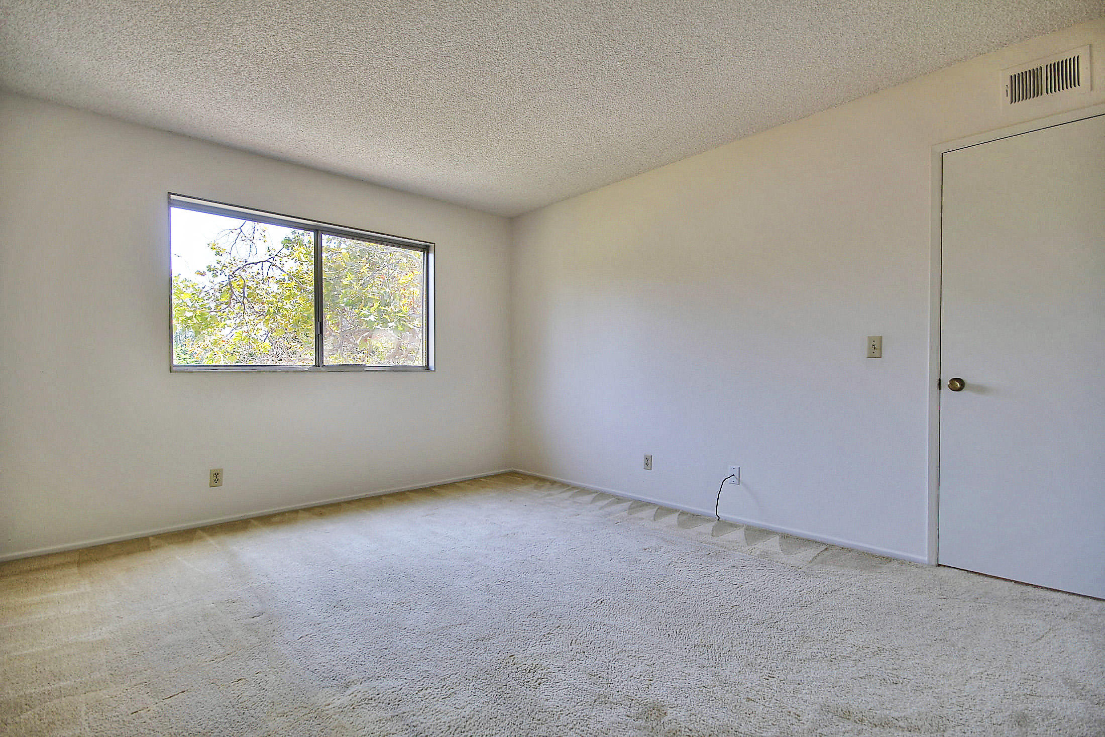 6415 Camino Viviente