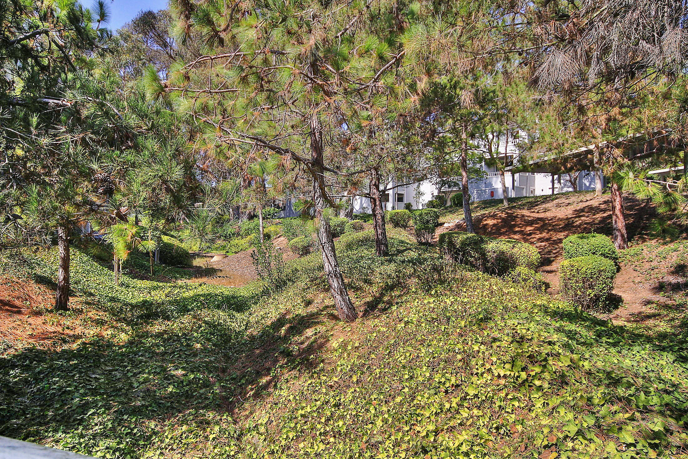 7606 Hollister Avenue, 212